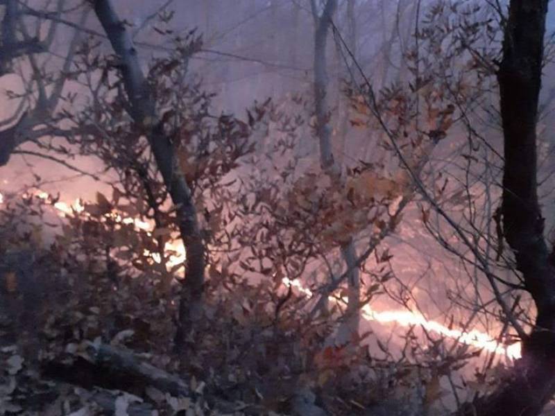 ცაგერის მუნიციპალიტეტის სოფელ წიფერჩის ტერიტორიაზე,სადაც ტყის მასივი იწვოდა ,ხანძარი...